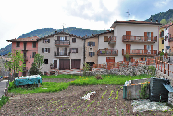 klein dorp met tuin - Foto, afbeelding