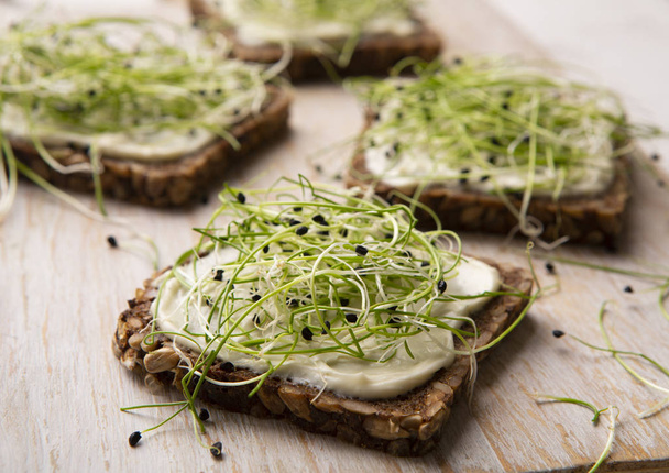 Vegane Sandwiches mit Tofu-Käse und frischem Microgreen - Foto, Bild