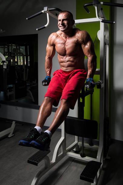 Chest And Triceps Exercise on Parallel Bars - Photo, image