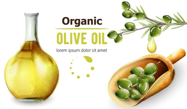 Organic olive oil in bottle - Vektori, kuva