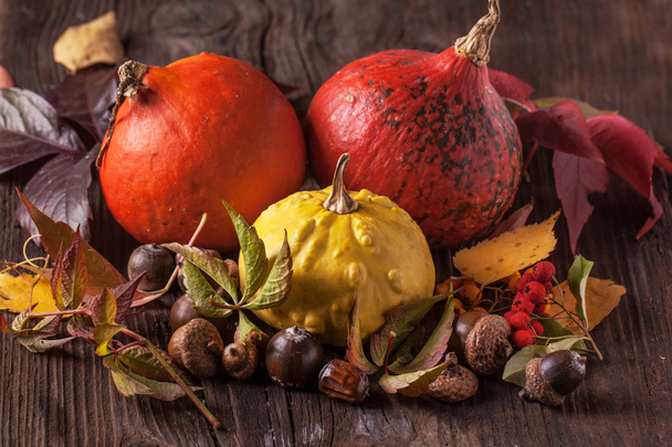 Pumpkins with acorns and leaves - Foto, afbeelding