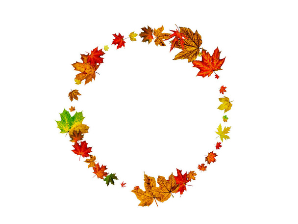 Оставляет фон. Осенний узор сезона изолирован на белом фоне. Концепция Дня благодарения
 - Фото, изображение