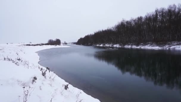 Ruhiger Naturtag im Winter - Filmmaterial, Video