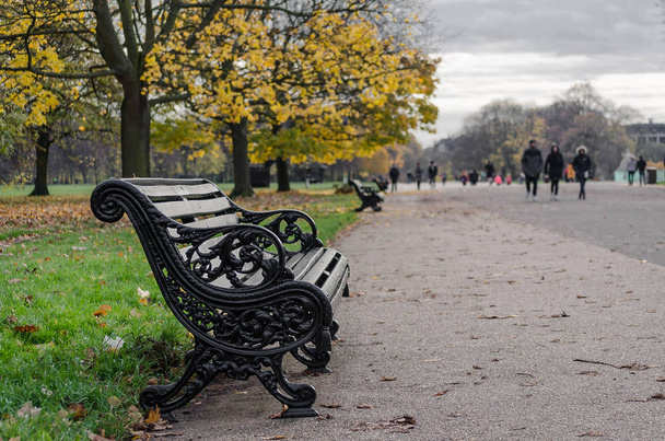 bench on the way inside a park - Valokuva, kuva