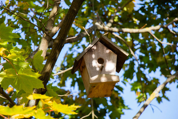 Dřevěná domácí holubník visí na stromě  - Fotografie, Obrázek