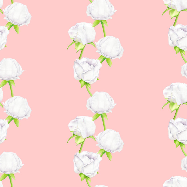 White watercolor Peony flower and buds seamless pattern. Hand drawn illustration on pink background. Design for greeting card, wallpaper, invitation, wedding decoration, wrapping paper, printing. - 写真・画像