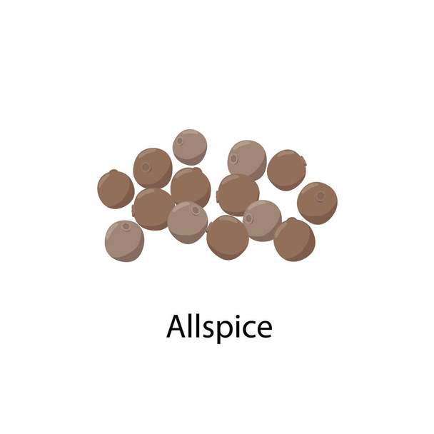 Allspice - ilustración vectorial en diseño plano aislado sobre fondo blanco. Icono de vector de bayas de pimienta de Jamaica entera
. - Vector, Imagen