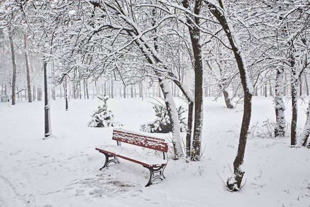 Ławki w zimowym parku miejskim. Wypełniony śniegiem. Drzewa pokryte śniegiem. - Zdjęcie, obraz