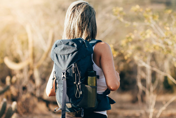Back view of female hiker with backpack exploring Caatinga landscape in Brazil - Foto, afbeelding