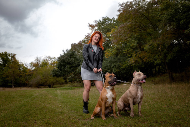 woman with two beautiful American Staffordshire pitbulls - Photo, Image