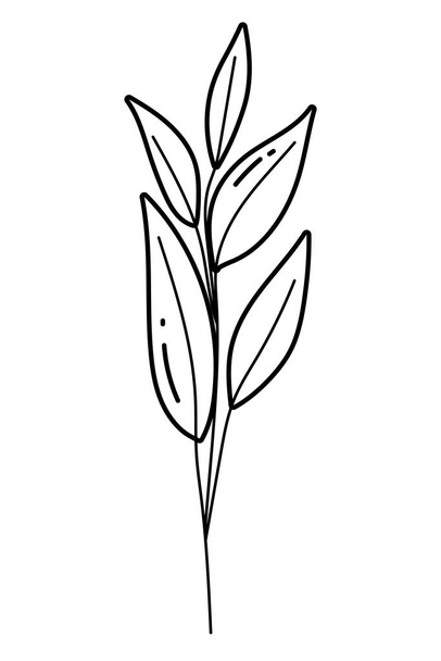 Isolated leaves design vector illustration - Vektor, kép