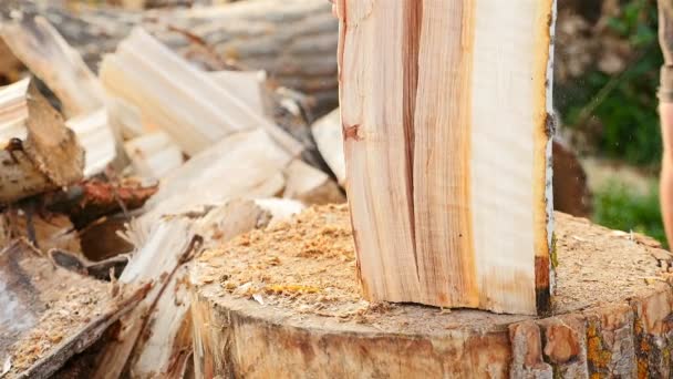 Couper le bois avec une hache dans la forêt. Gros plan. Ralentisseur - Séquence, vidéo