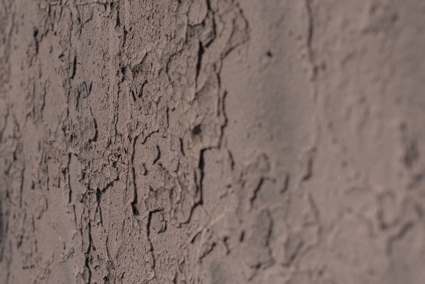 crepe di colore secco texture bianca, Vecchia parete di legno e ci sono piastre di colore che si stanno staccando
. - Foto, immagini