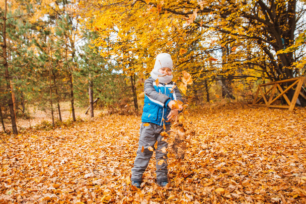 Kleiner Junge spielt mit gelben Blättern im Herbstpark - Foto, Bild