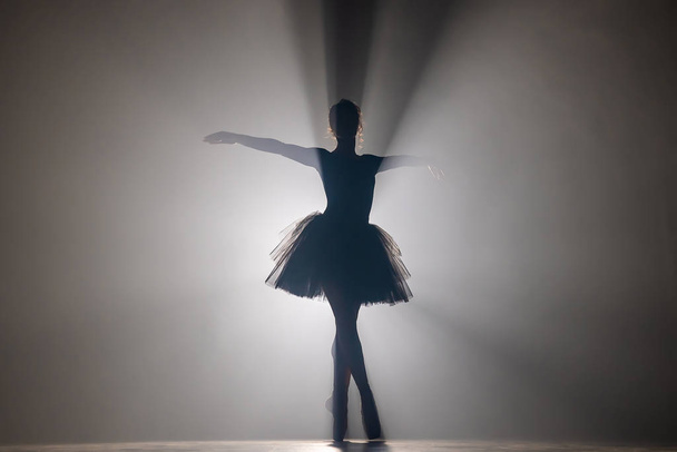 Professional ballerina dancing ballet in spotlights smoke on big stage. - 写真・画像