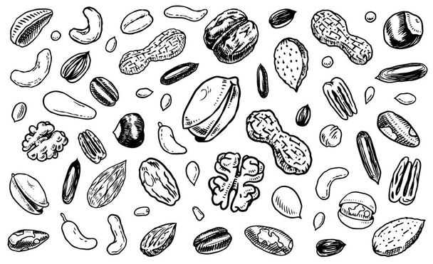 Nuts mix background. Seeds and granule, corn and grain. Hazelnut, Walnut, Almonds. Food concept. Top view. Vintage poster. Engraved hand drawn sketch. Set of doodle icons, signs in Monochrome style. - Vector, Imagen