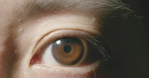Makroaufnahme des braunen Auges - Filmmaterial, Video