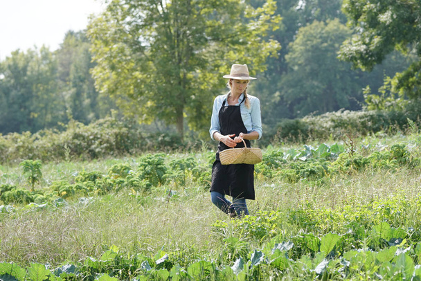 Farmer woman walking in agricultural field - 写真・画像