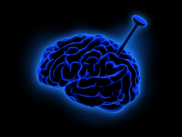blauwe hersenen - Foto, afbeelding