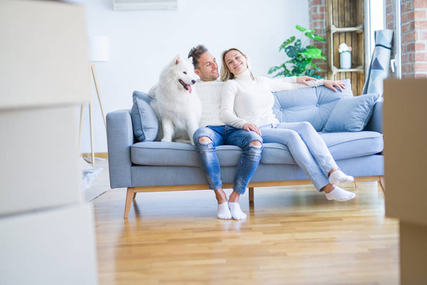 段ボール箱の周りの新しい家でソファに座っている犬を持つ若い美しいカップル - 写真・画像