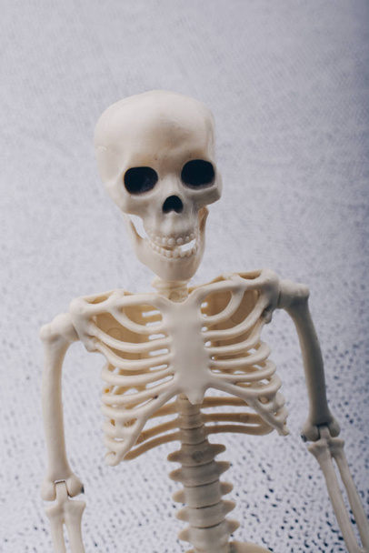Modelo de esqueleto humano posando para la ciencia de la anatomía médica
  - Foto, imagen
