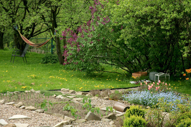 Un patio rural con verduras jóvenes, flores de primavera y una hamaca sobre ciruelos. Paz y tranquilidad en un hermoso día de primavera en un pueblo de montaña
. - Foto, Imagen
