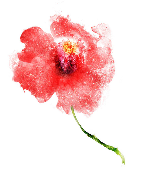 Flor de acuarela, aislada sobre fondo blanco - Foto, imagen