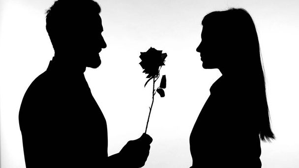 Het silhouet van de mens geven roos aan mooie vrouw tegen witte achtergrond - Foto, afbeelding