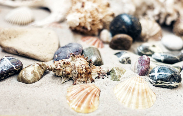 Seashells and stones on the sand, summer beach background travel - Φωτογραφία, εικόνα