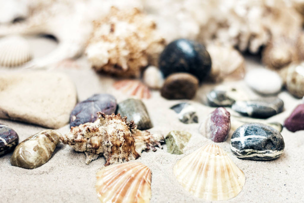 Seashells and stones on the sand, summer beach background travel - Foto, imagen