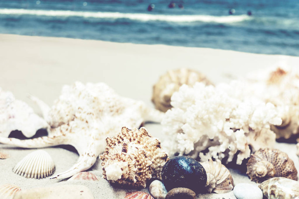 Ракушки, камни и морские звезды на песке, летний пляж backgr
 - Фото, изображение