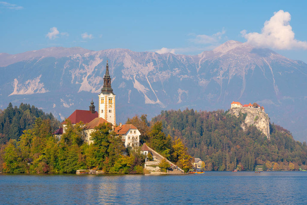 Bella chiesa in mezzo al lago sloveno di Bled, Slovenia
 - Foto, immagini