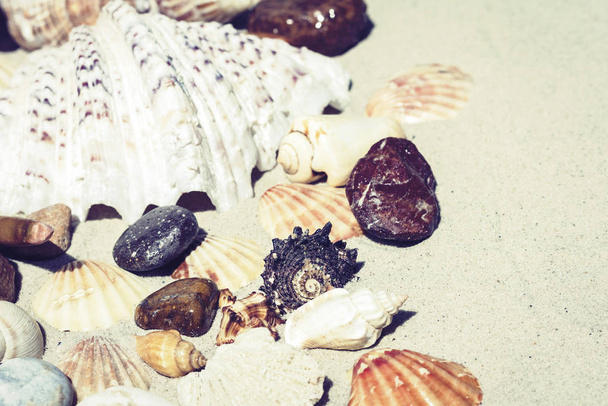 Seashells and stones on the sand, summer beach background travel - Zdjęcie, obraz