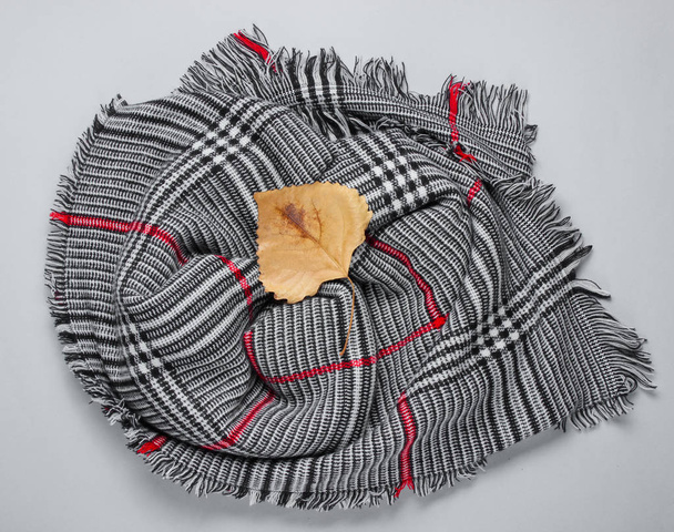 Модный женский шарф с упавшим листочком посередине на заднем плане. Осеннее время. Вид сверху
 - Фото, изображение