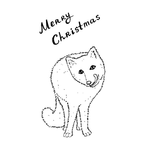 Arktická polární liška s veselými vánočními dopisy. Kresba rukou. Černý obrys na bílém pozadí. Vektorová ilustrace - Vektor, obrázek