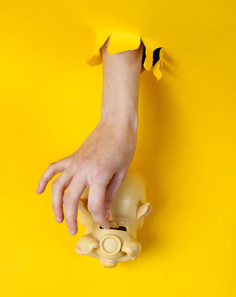 Ženská ruka vloží minci do prasátka přes potrhané žluté papírové pozadí. Minimalistický kreativní koncept - Fotografie, Obrázek