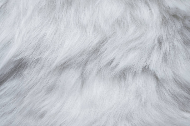 Een close-up van White Fur Texture. Gladde zachte zachte zachte en zijdezachte achtergrond - Foto, afbeelding