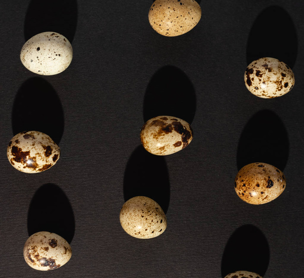 Huevos de codorniz sobre fondo negro. Foto de stock
. - Foto, imagen