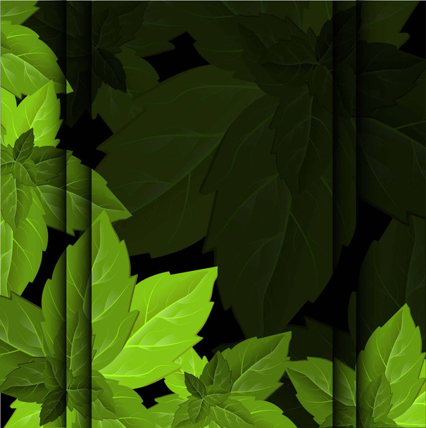 Kleurrijke groene bladeren in mooie stijl op lichte achtergrond. Bladvector textuur patroon achtergrond. Patroon op groene achtergrond. Decoratieve achtergrond vector - Vector, afbeelding