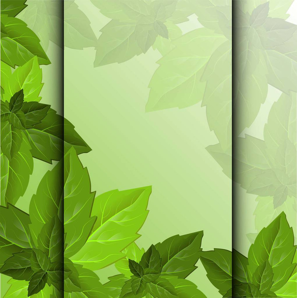 Liście leśne. Tekstura liści. Zielony pozostawia szablon ramki. Piękny abstrakcyjny wzór szablonu z zielonymi liśćmi na tle dekoracyjnego designu - Wektor, obraz