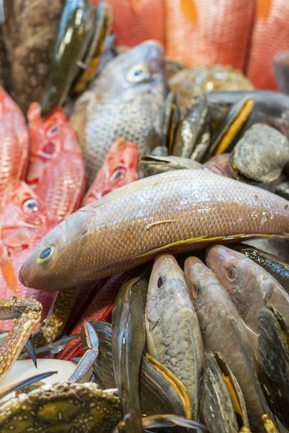 Istakoz, lapa, karides, buzdaki balık. Deniz ürünleri sergileniyor. Deniz ürünleri ile tezgah.  - Fotoğraf, Görsel
