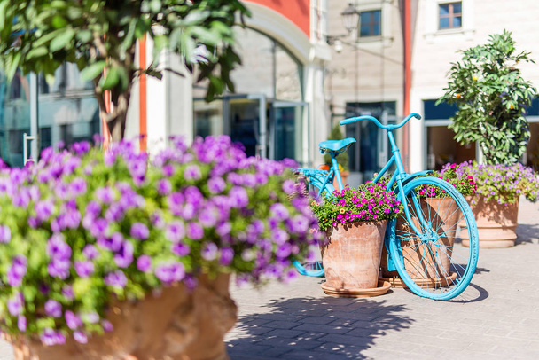 blue bike, yard, Europe, potted flowers, summer, day - Photo, Image