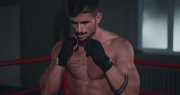 In the middle of boxing ring athletic charismatic man have a boxing intense working training - Video, Çekim