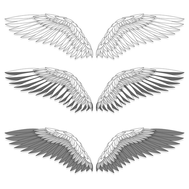 Ptačí křídla jsou izolovaná na bílém pozadí. Vektorová ilustrace. Černobílý... - Vektor, obrázek