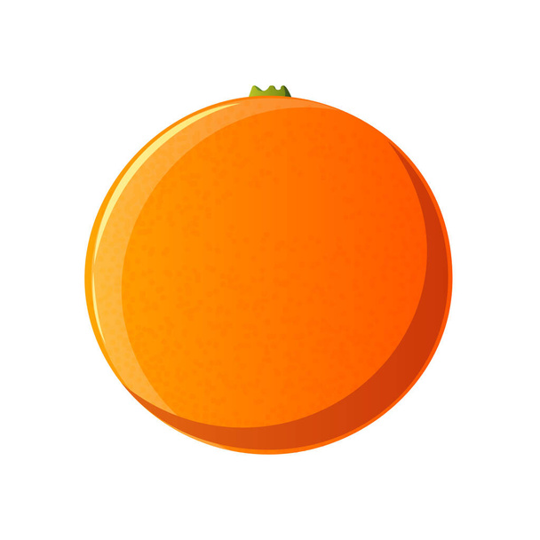 Oranžová ilustrace. Vektor ovoce izolovaný na bílém pozadí - Vektor, obrázek