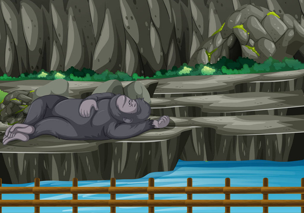 Сцена с гориллой в зоопарке
 - Вектор,изображение