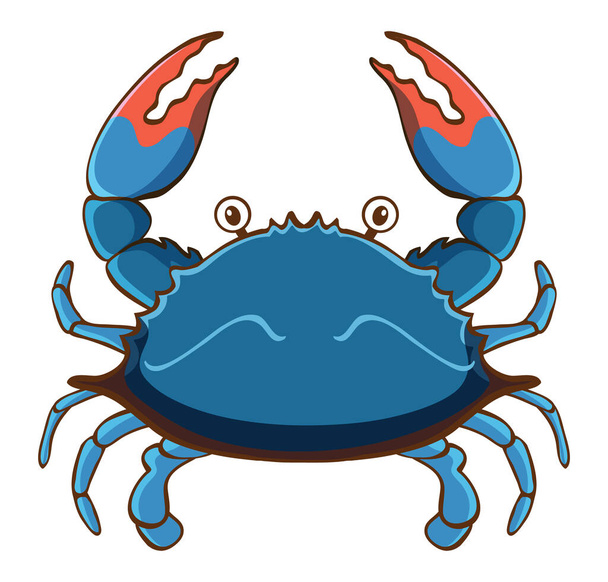 Crabe bleu sur fond blanc
 - Vecteur, image