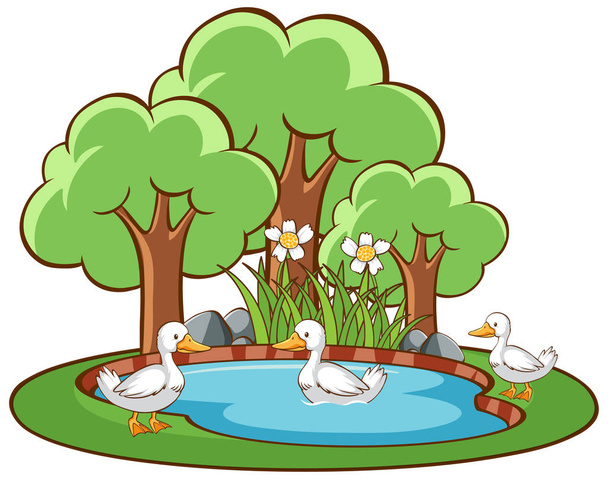 Escena aislada con patos en el estanque
 - Vector, imagen
