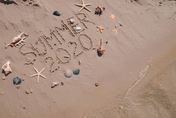 v létě 2020 text o písečných plážových mušlích a hvězdicích - Fotografie, Obrázek