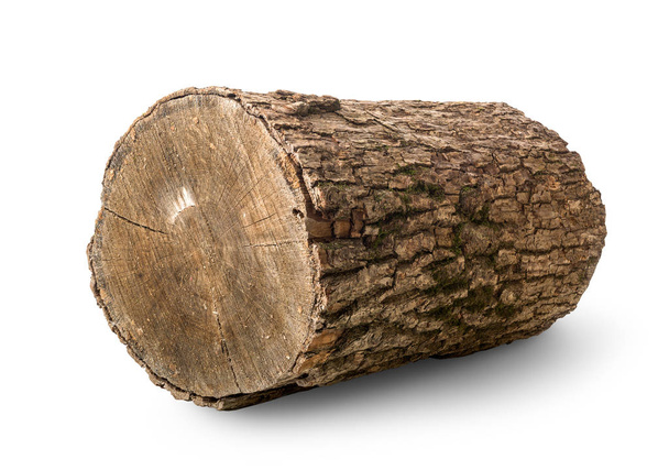Pine log isolated - Photo, Image